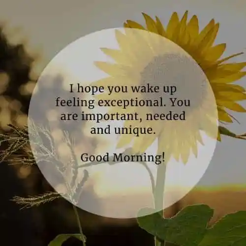I hope you wake up feeling exceptional. You are important..